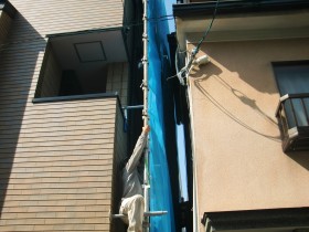 CIMG9559
