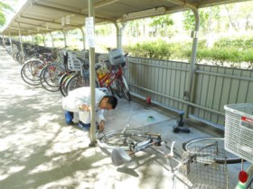 自転車置き場の様子