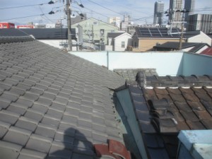 所長ブログ