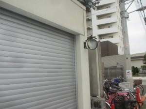 素敵な薔薇です