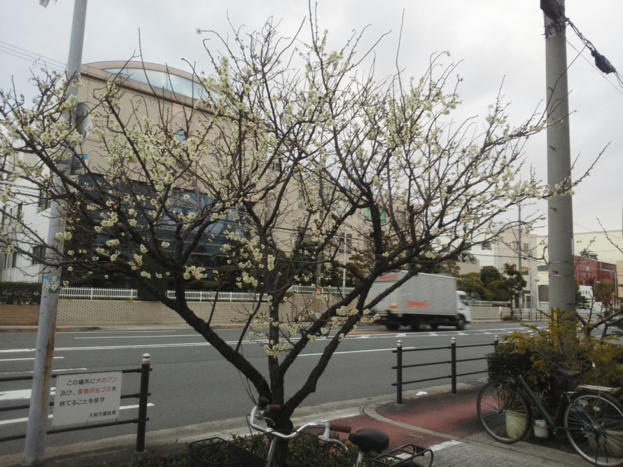 まだまだ寒い日が続きます。