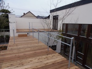 P3010050